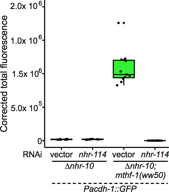 Figure 4—figure supplement 3.