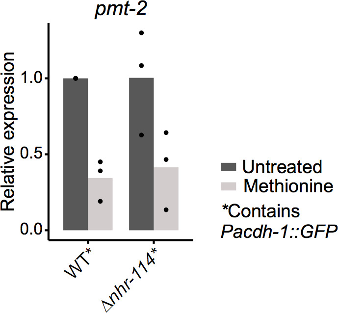 Figure 5—figure supplement 4.