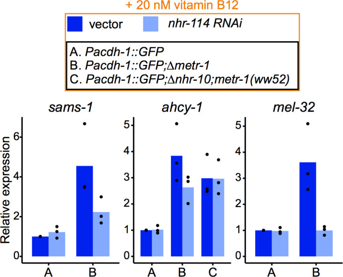 Figure 4—figure supplement 5.