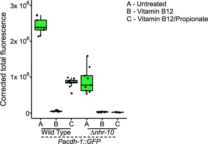 Figure 1—figure supplement 2.