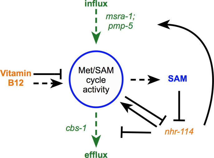 Figure 7.