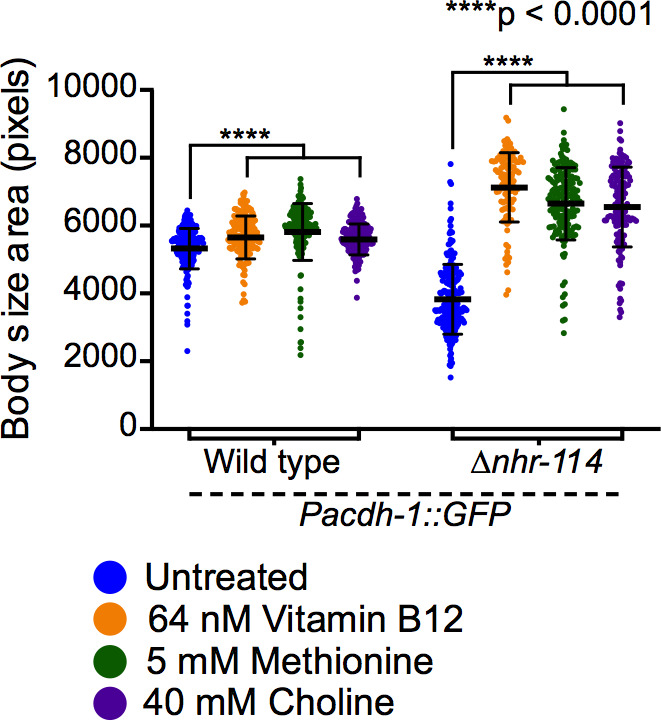 Figure 4—figure supplement 4.