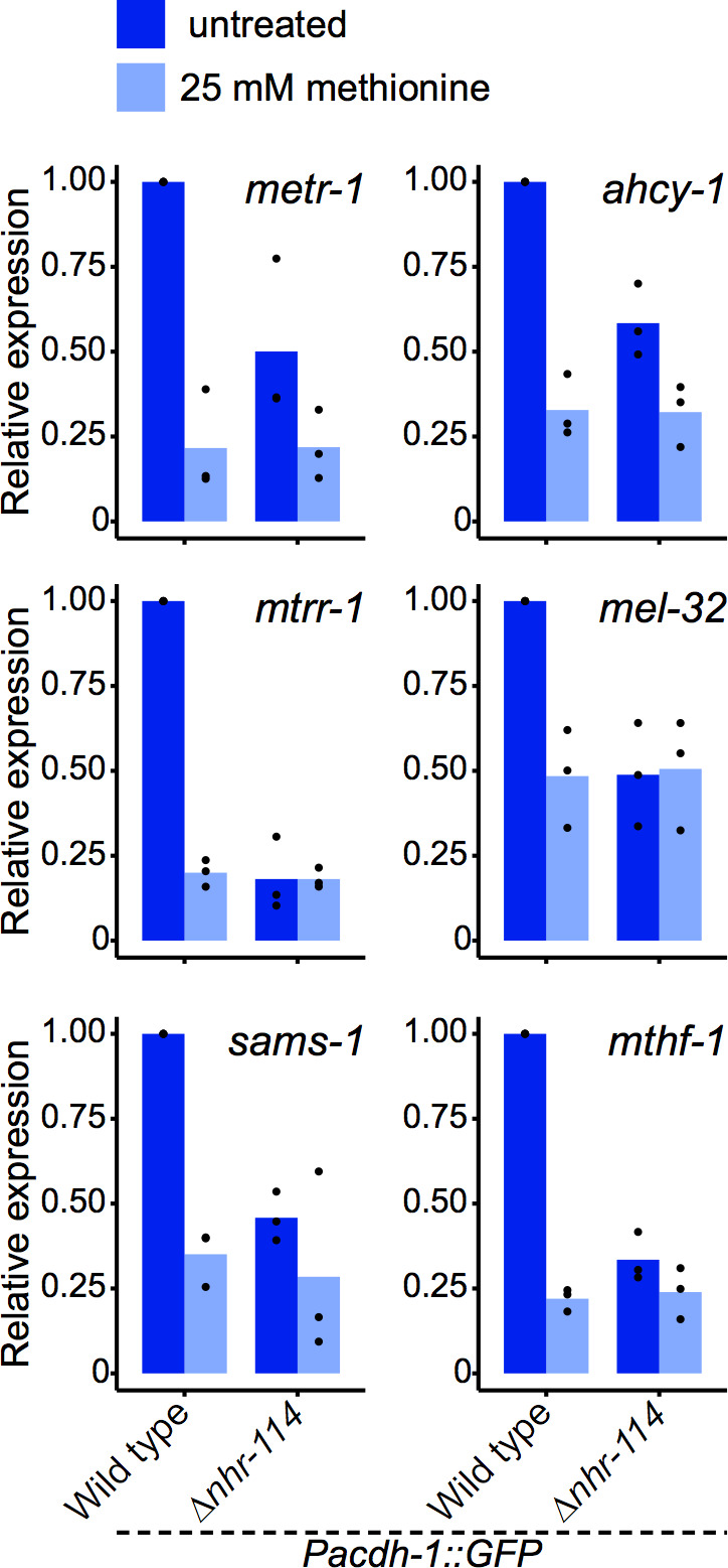 Figure 5—figure supplement 7.