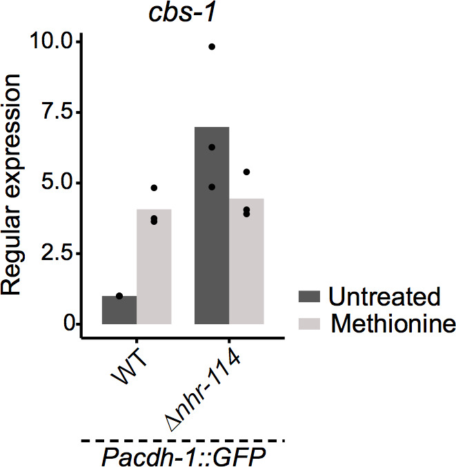 Figure 6—figure supplement 1.