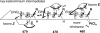 Scheme 129