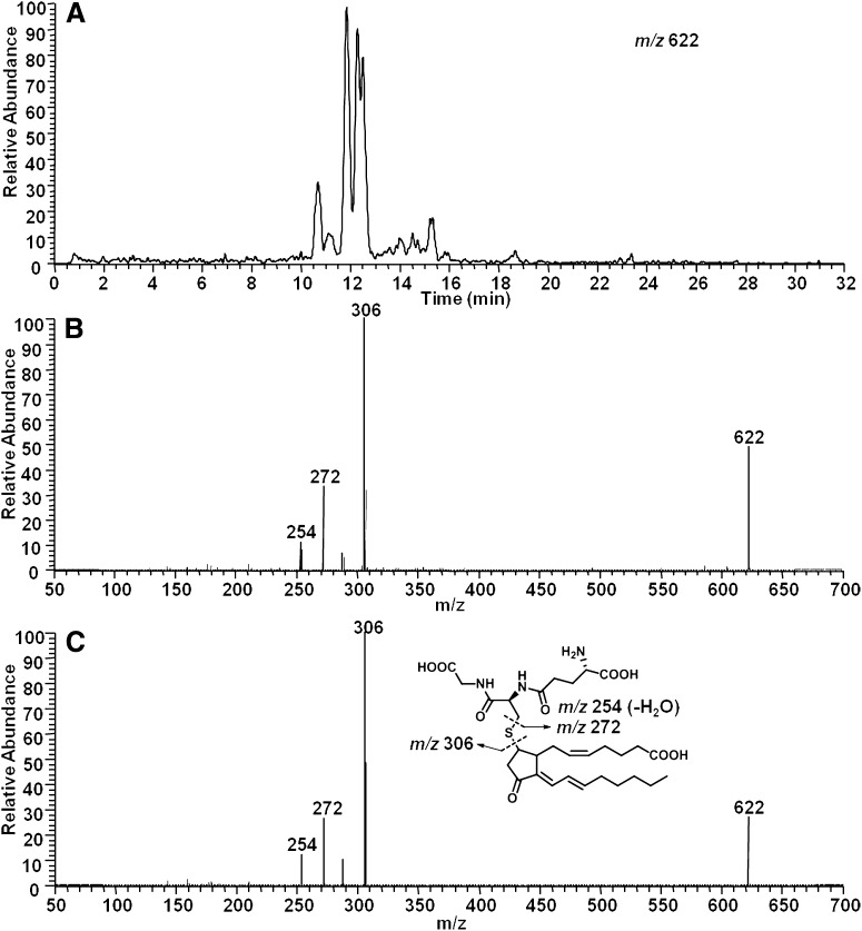 Fig. 8.