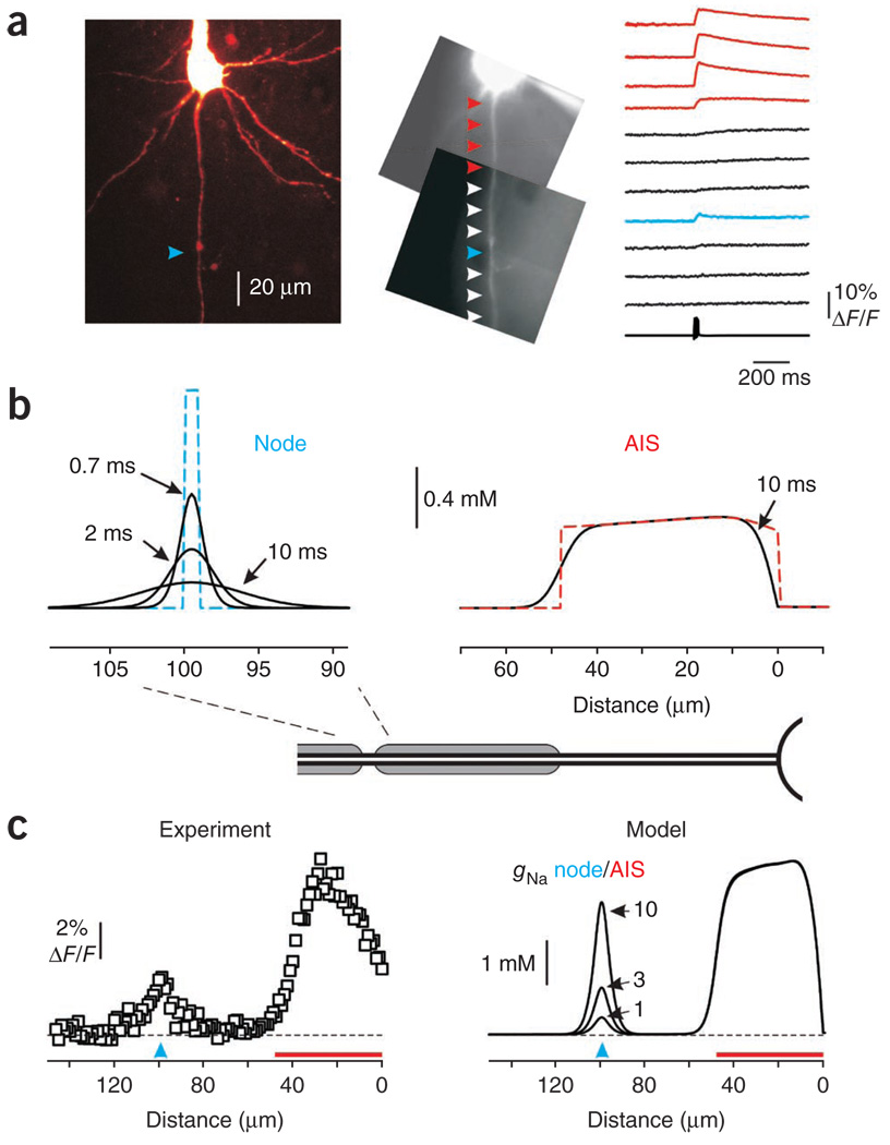 Figure 6