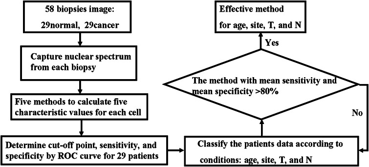 Fig. 4