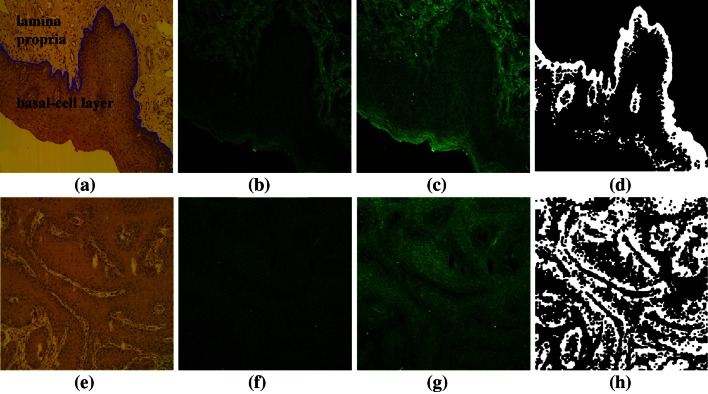 Fig. 2