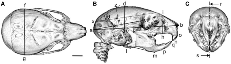 Figure 7.