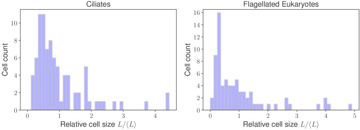 Figure 2—figure supplement 2.