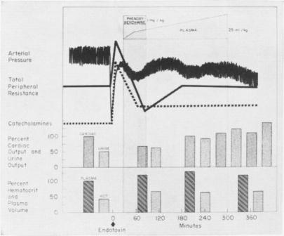 Fig. 17.