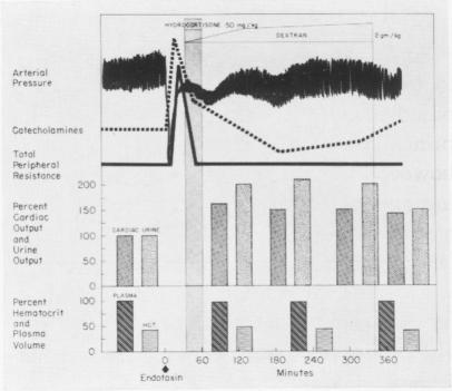 Fig. 20.