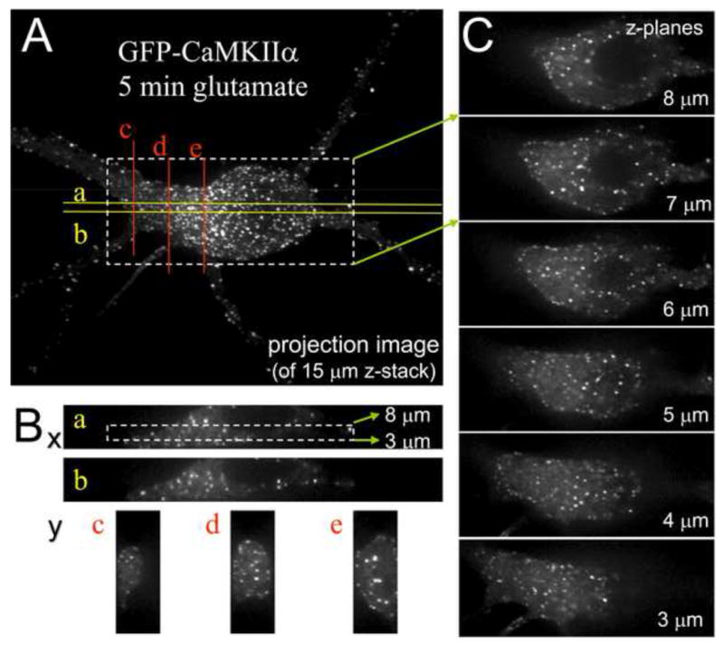 Fig. 4