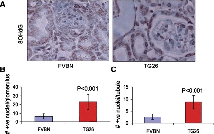 Fig. 10.