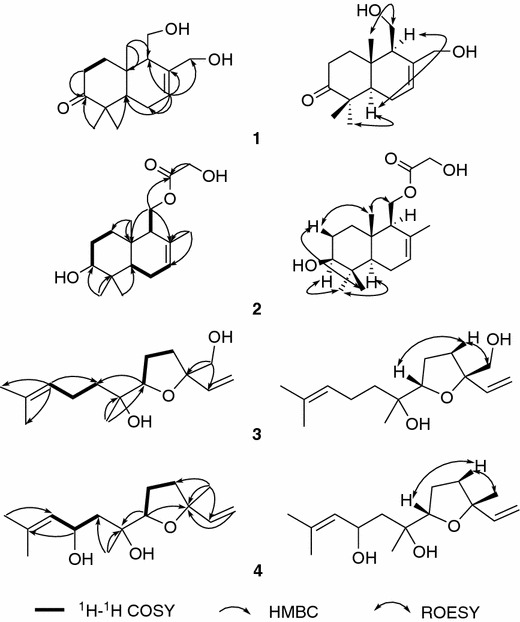 Fig. 2