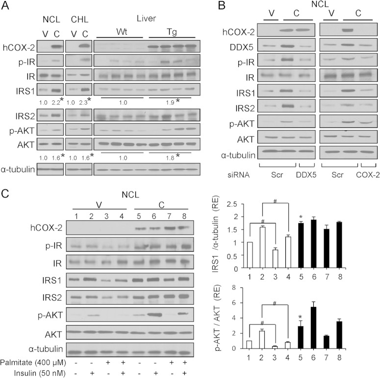 FIG 6