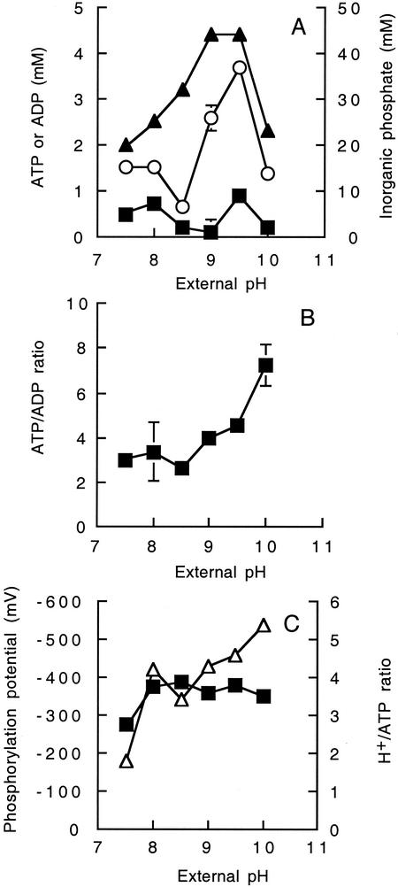 FIG. 2.