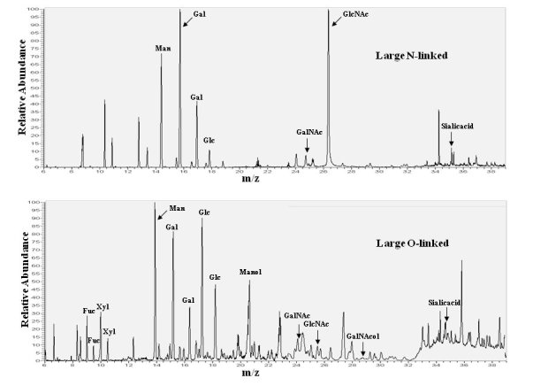 Chromatograms of monosaccharides from N- and O-linked glycans on delR312 aDG after purification from CHO-LARGE cells.