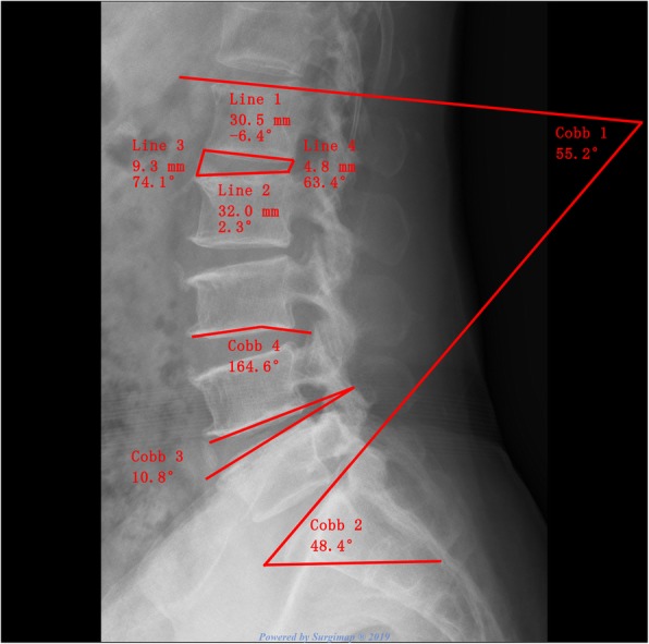 Fig. 3