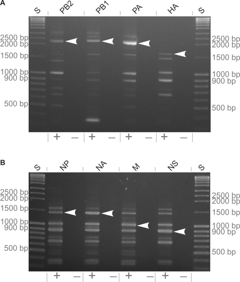 Figure 2.