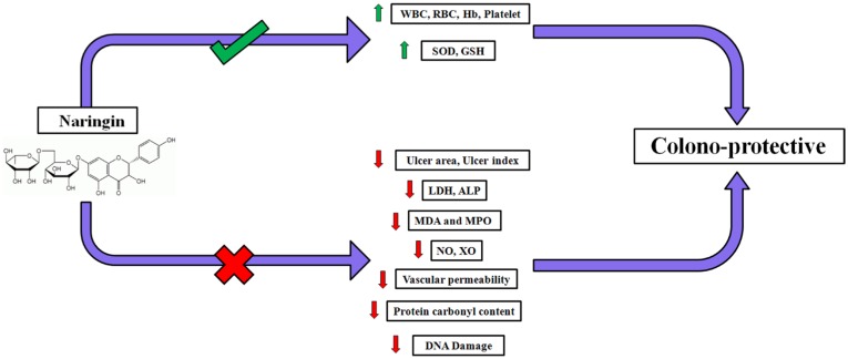 Fig. 7