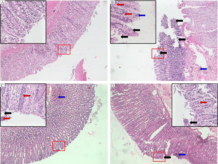 Fig. 6