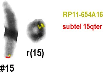 Fig. 3