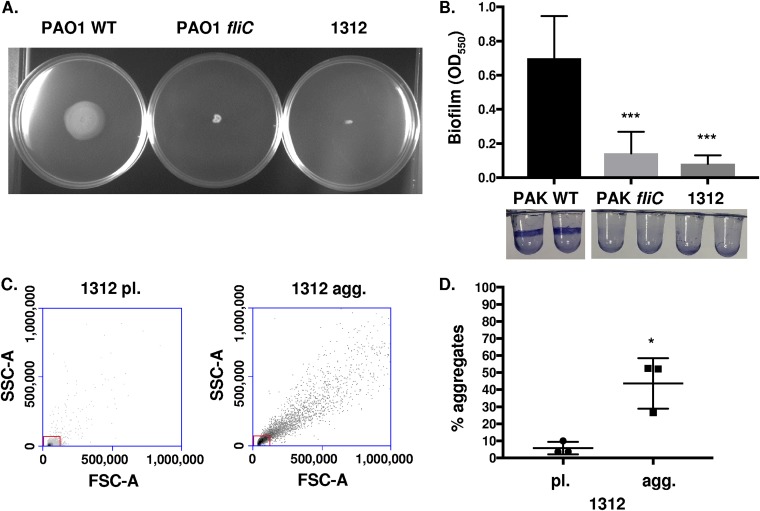 FIG 6