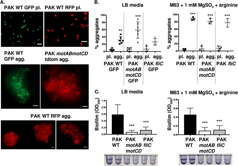 FIG 3