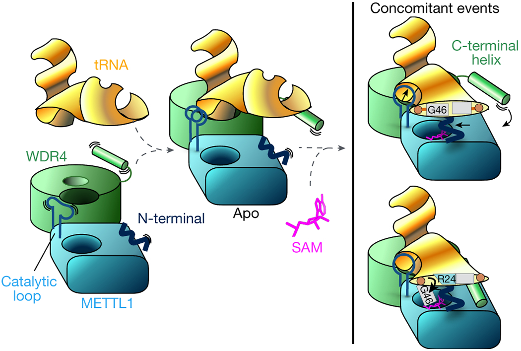 Fig. 6: