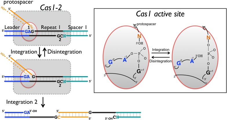 Figure 10.