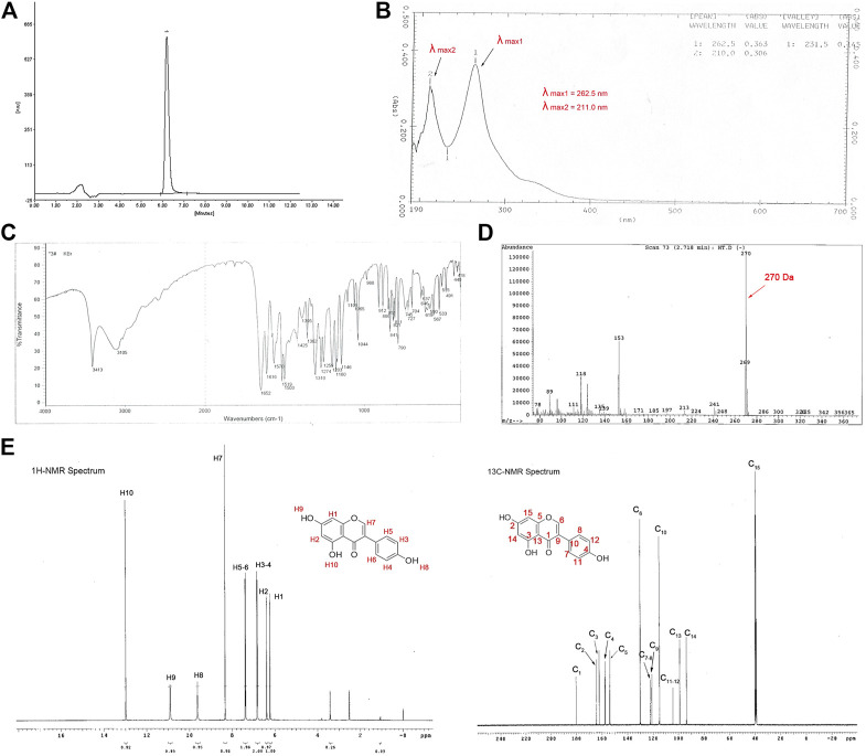 FIGURE 1