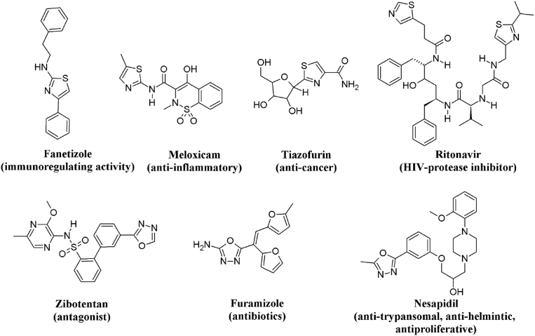 Fig. 1