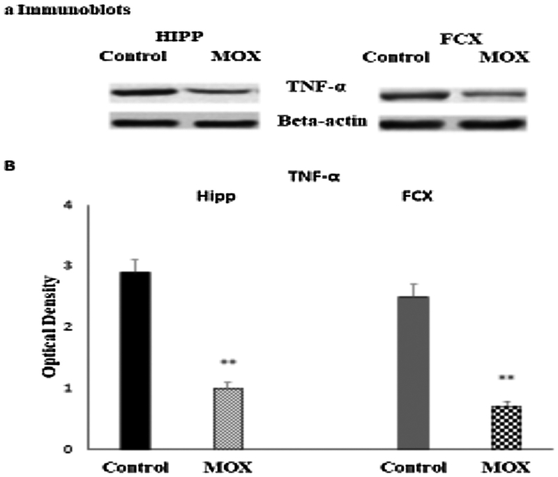 Fig 3.