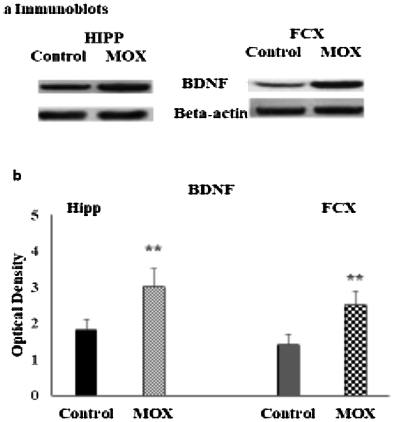 Fig 2.