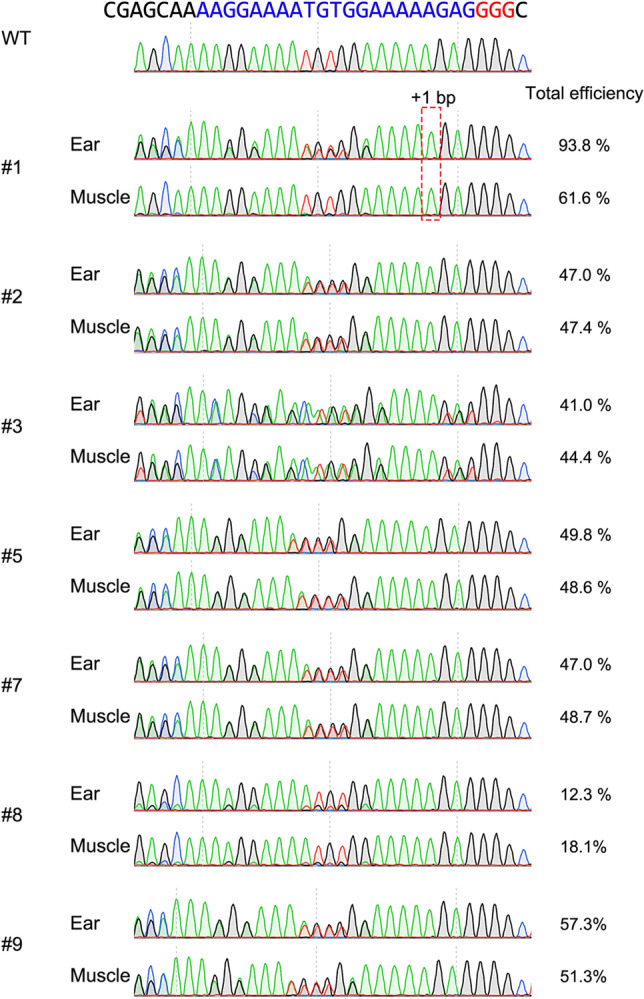 Figure 5