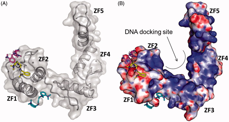 Figure 5.