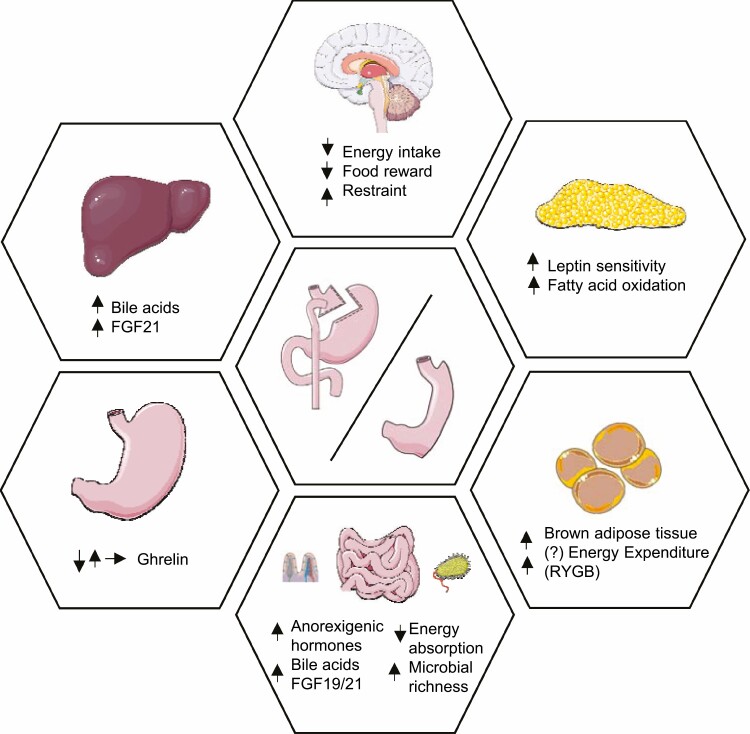 Graphical Abstract