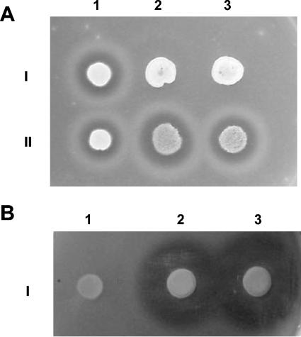 FIG. 6.