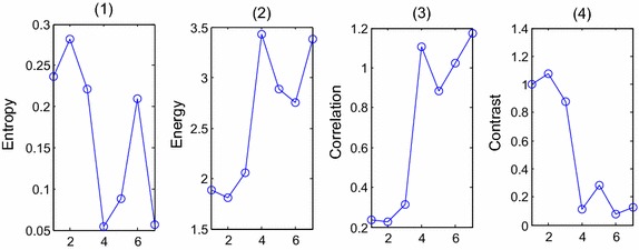 Fig. 4