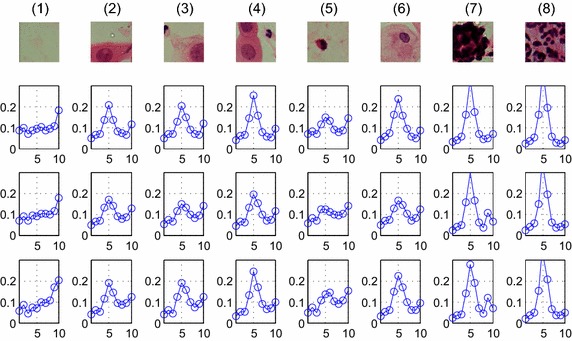 Fig. 2