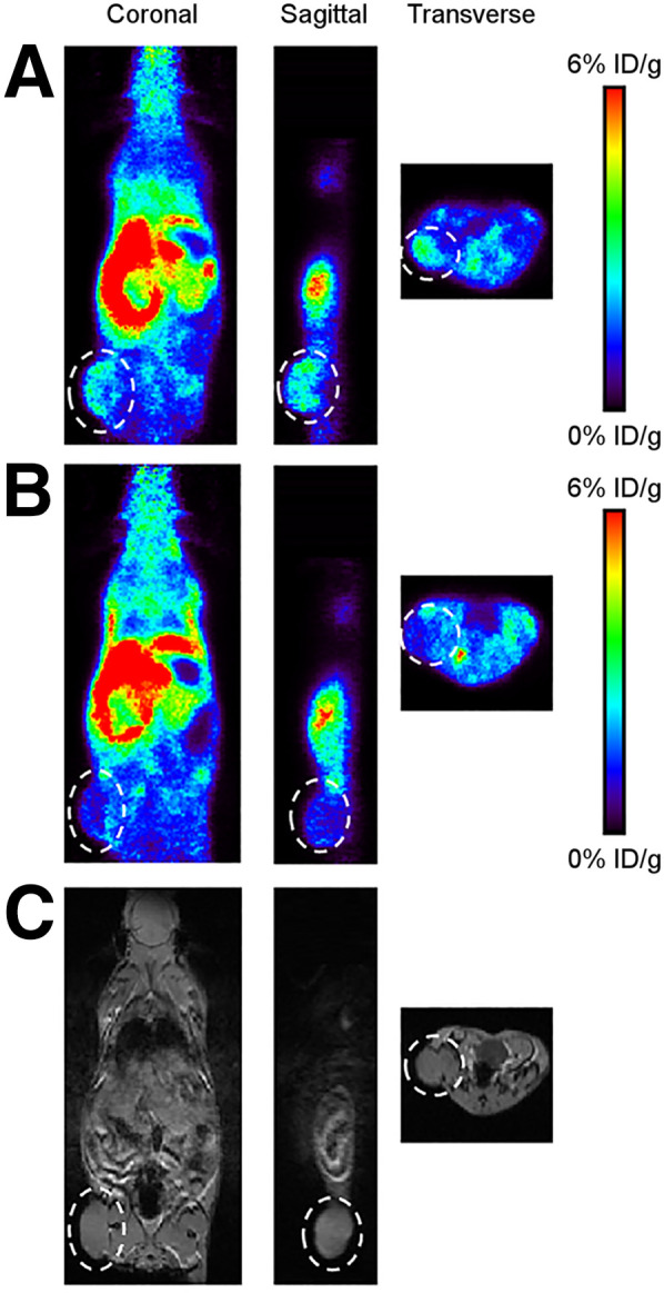 FIGURE 1.