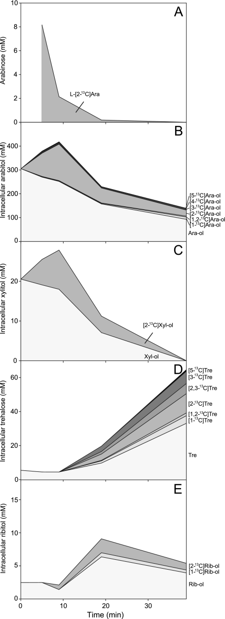 FIG. 4.