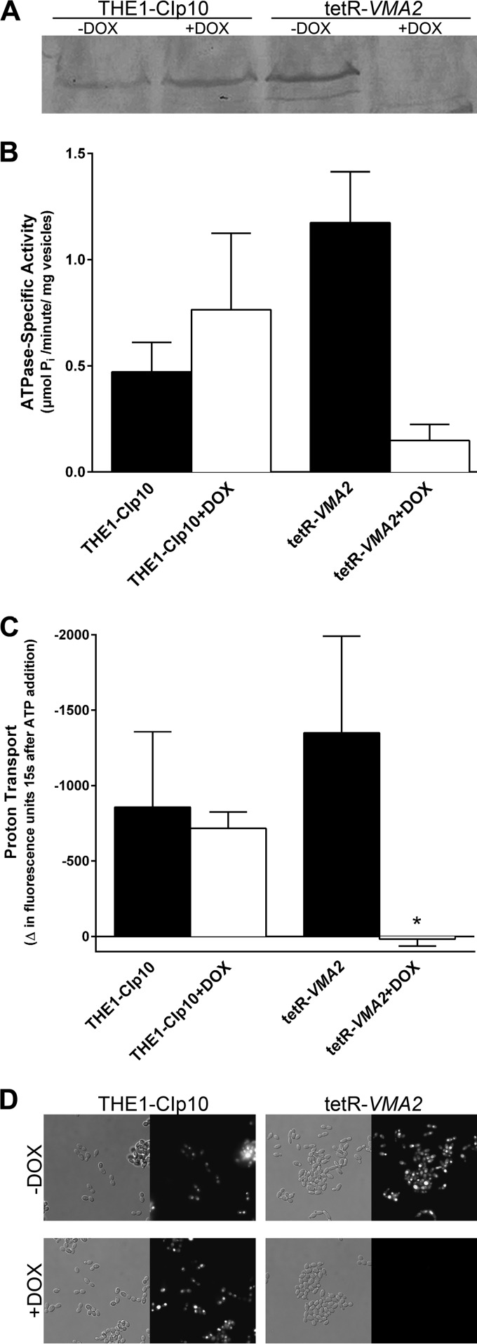 FIG 4