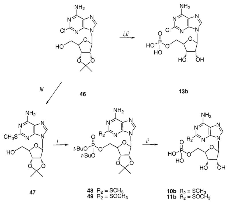 Scheme 3