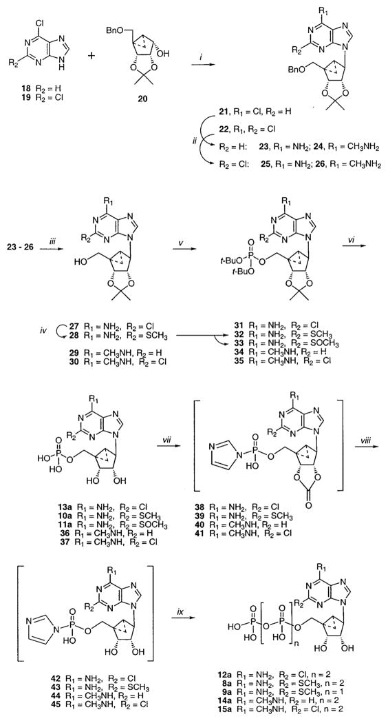 Scheme 1