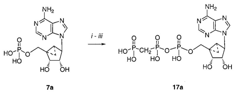 Scheme 2