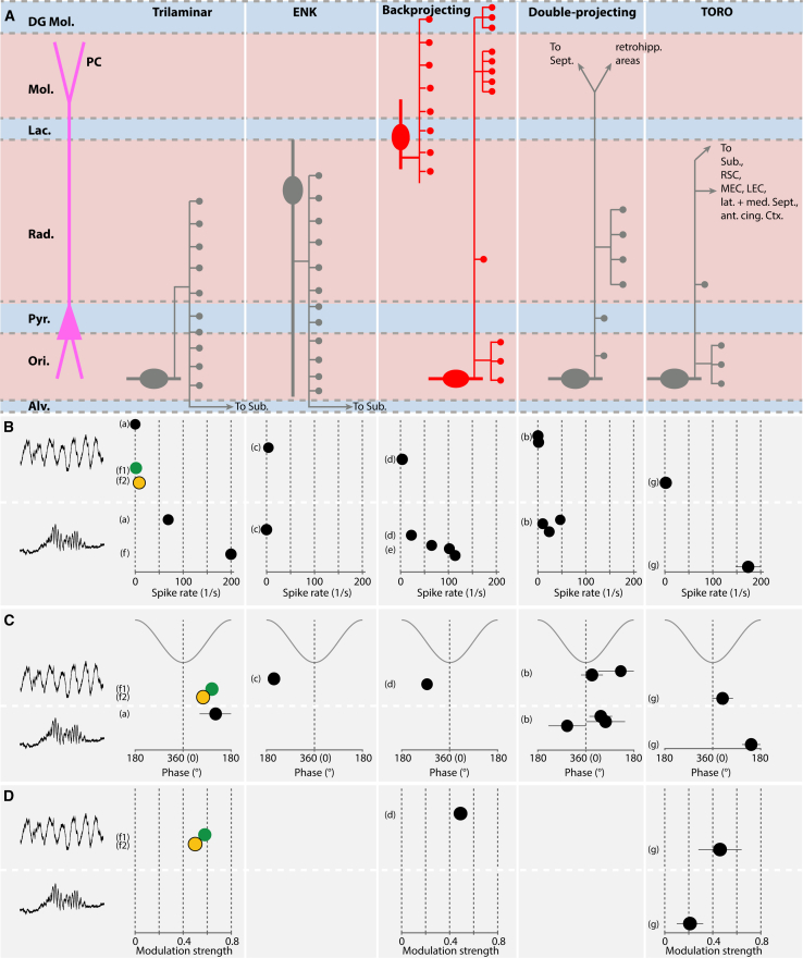 Figure 5