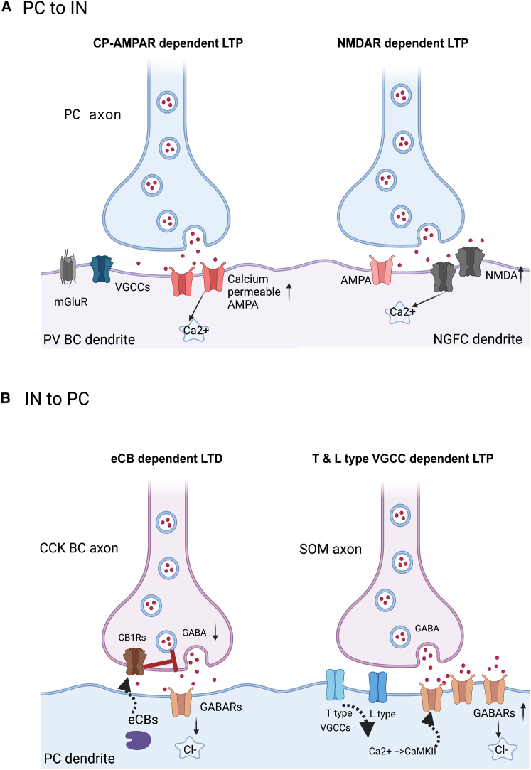 Figure 2